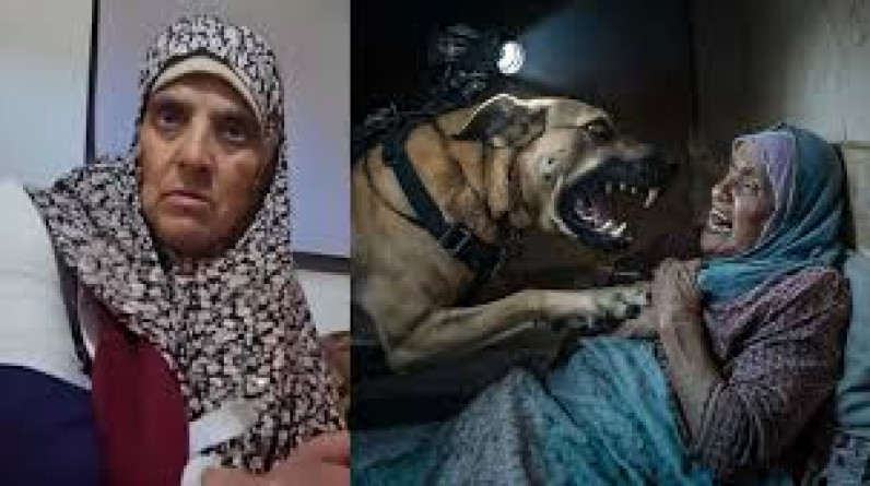المسنة التي هاجمها كلب الاحتلال البوليسي: رأيت الموت بعيني